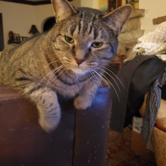 Meet your Posher, Mark - Picture 2 of 8